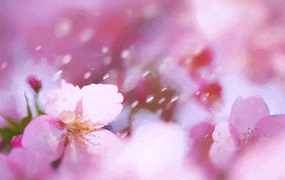 640 (2).gif undefined