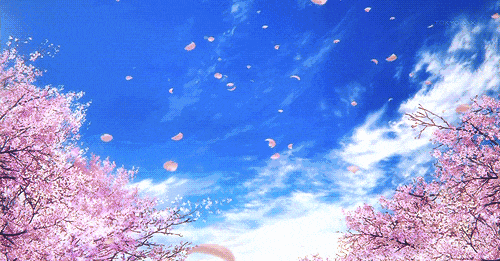 640 (3).gif undefined